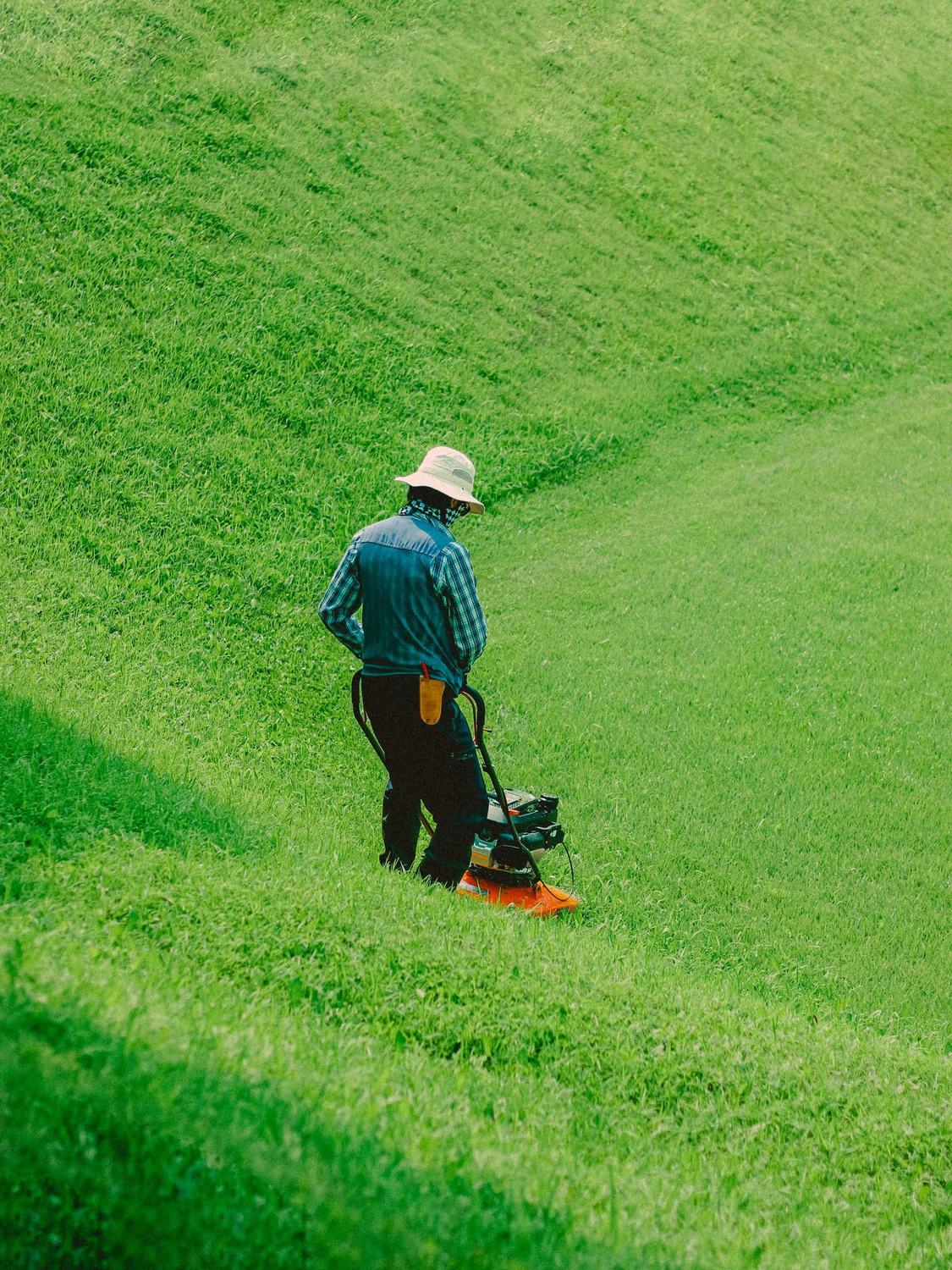 A gardener working down a steep grass bank with a strimmer